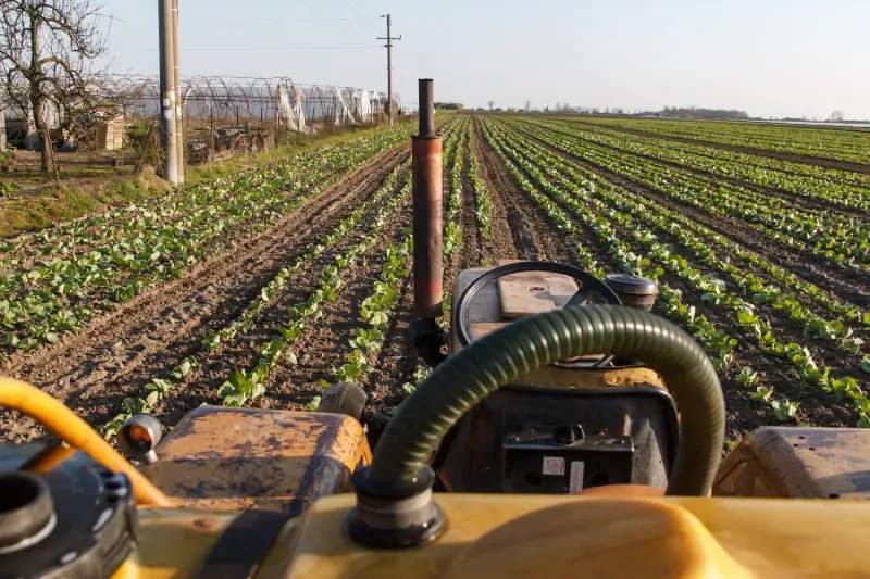 La importancia de la rotación de cultivos en explotaciones sostenibles