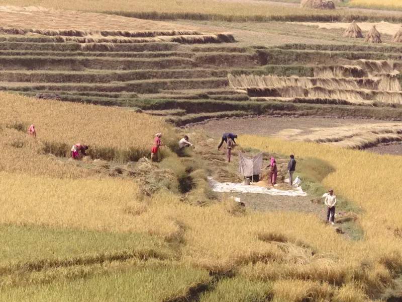 Planificación del riego y flujo de trabajo de informes de campo