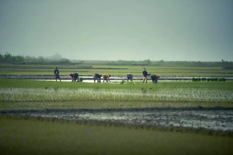 AgroSierra del Levante 7