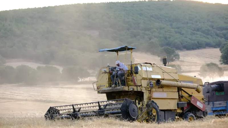 AgroSierra del Levante 9